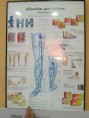 /album/fotogaleria/img-0218-jpg/
